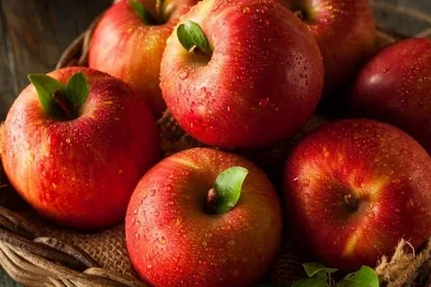 تصویر 1 از خرید میوه خشک سیب + قیمت فروش استثنایی